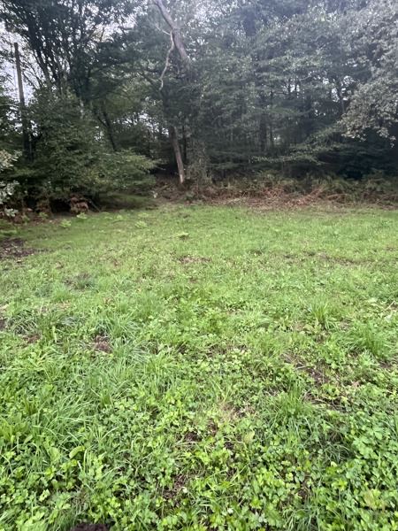 Vente Terrain MONTENDRE - -1541 m² - (17130)