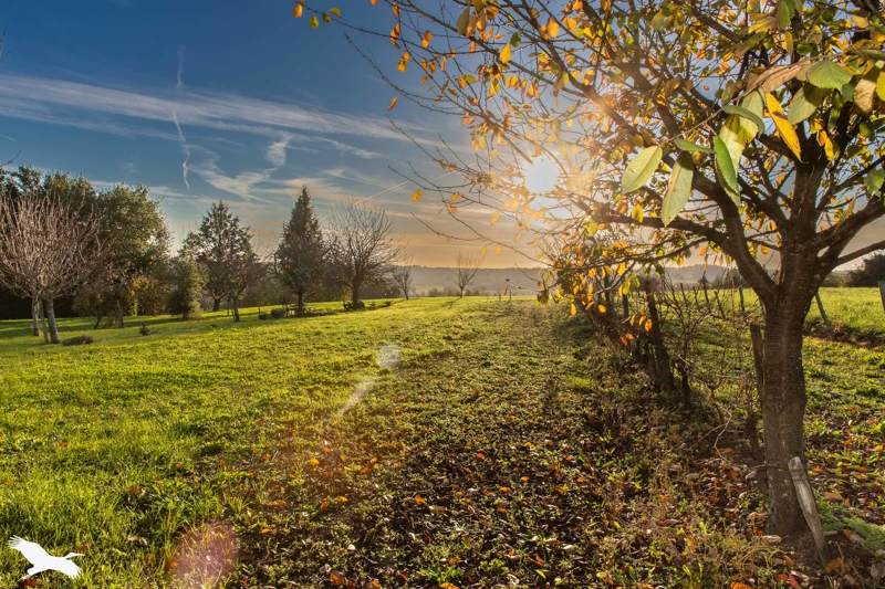 Vente Maison CHATENET - 3 pièces -75 m² - (17210)