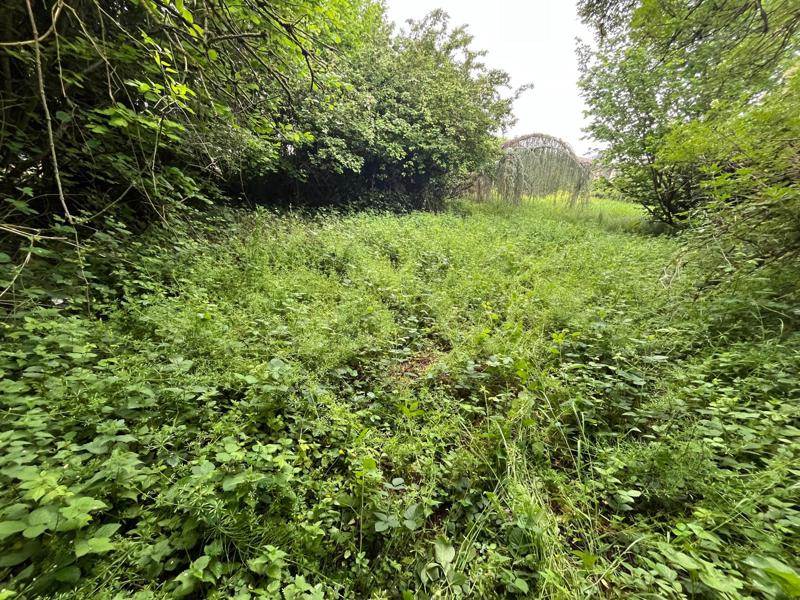 Vente Terrain AUVERS SUR OISE - -982 m² - (95430)