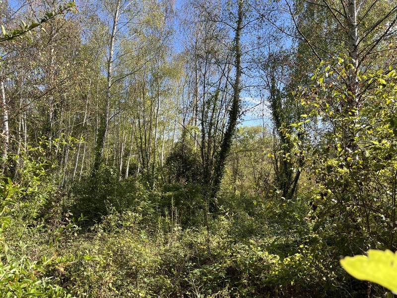 Vente Terrain Auvers-sur-Oise - -1539 m² - (95430)