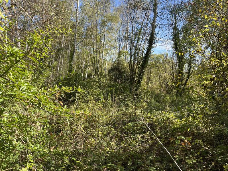 Vente Terrain Auvers-sur-Oise - -1539 m² - (95430)