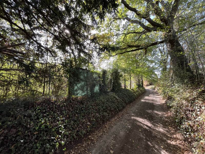 Vente Terrain Auvers-sur-Oise - -1539 m² - (95430)