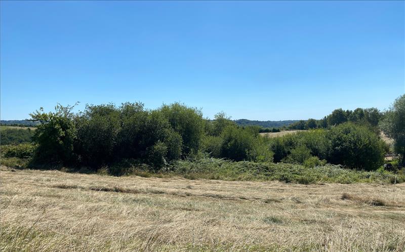 Vente Terrain BEAUREGARD DE TERRASSON - -1500 m² - (24120)
