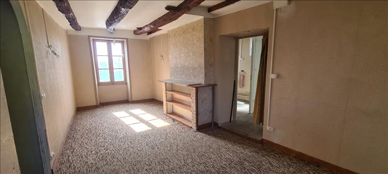 Vente Immeuble THENON - 8 pièces -  422 m² - (24210)