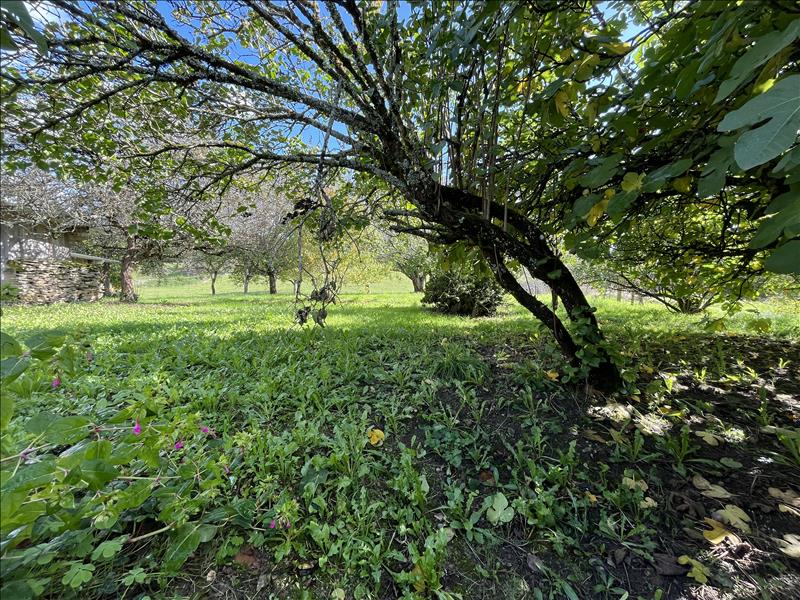 Vente Maison HAUTEFORT - 5 pièces -107 m² - (24390)