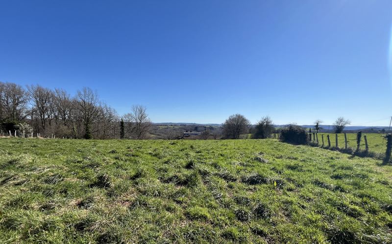 Vente Terrain BADEFOLS D ANS - -3559 m² - (24390)