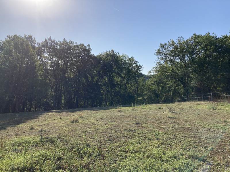 Vente Terrain LA BACHELLERIE - -1975 m² - (24210)