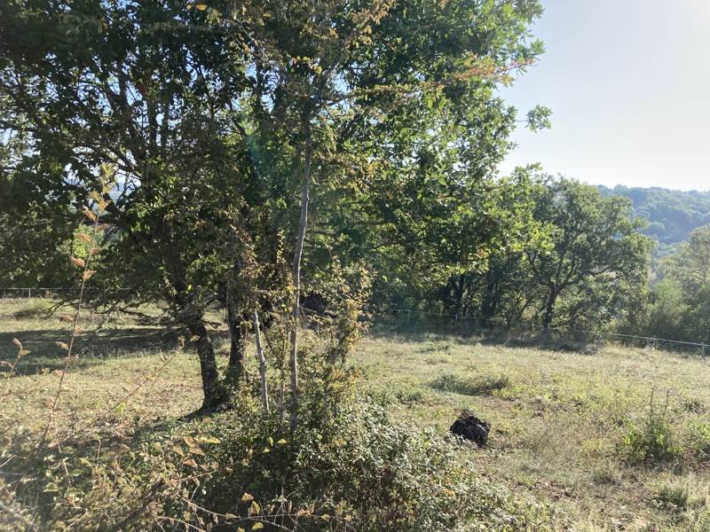Vente Terrain LA BACHELLERIE - -1666 m² - (24210)
