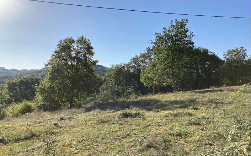 Vente Terrain LA BACHELLERIE - -1657 m² - (24210)