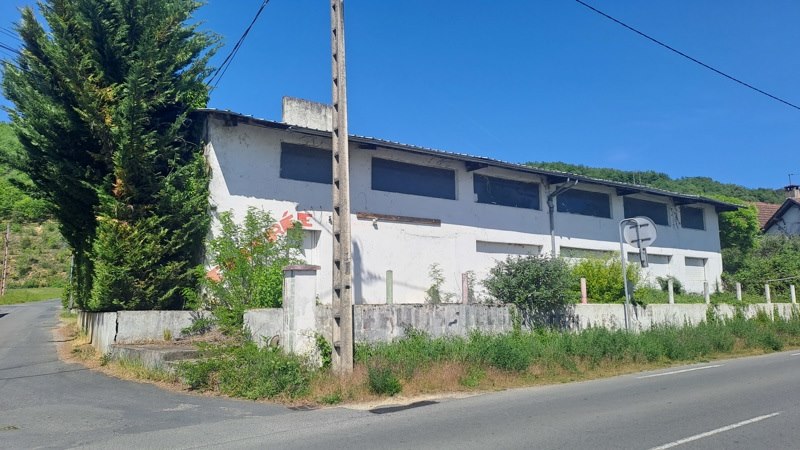 Vente Immeuble CONDAT SUR VEZERE - -  250 m² - (24570)