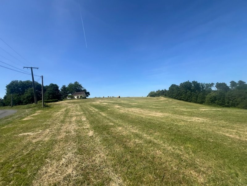 Vente Terrain SERGEAC - -5314 m² - (24290)