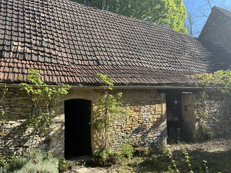Vente Maison Archignac - 5 pièces -195 m² - (24590)