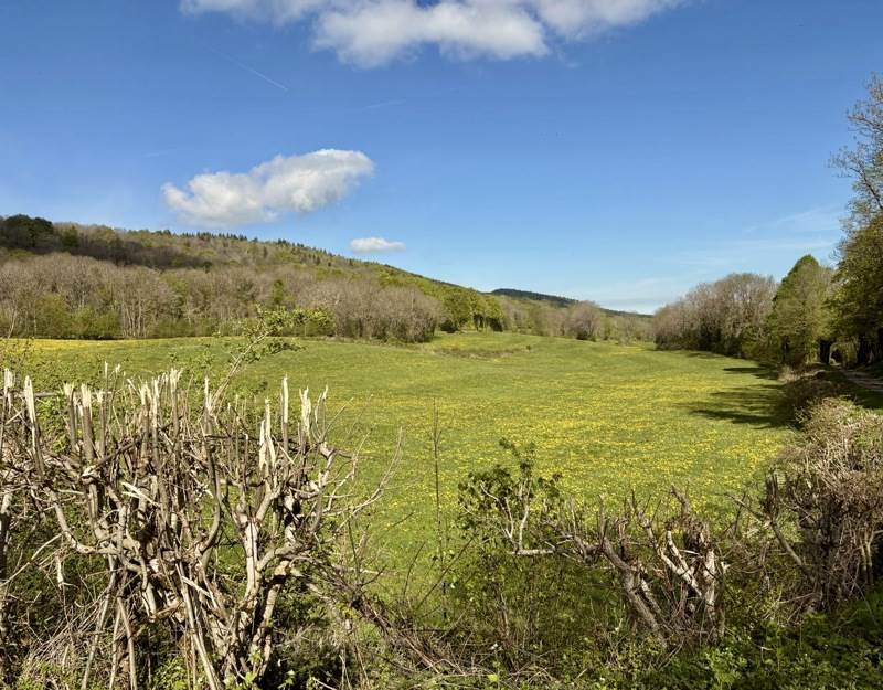 Vente Maison ORDONNAZ - 3 pièces -85 m² - (01510)