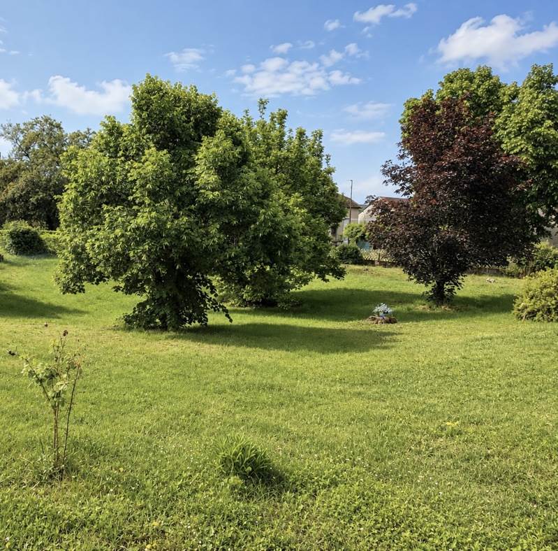 Vente Maison BRIORD - 5 pièces -141 m² - (01470)