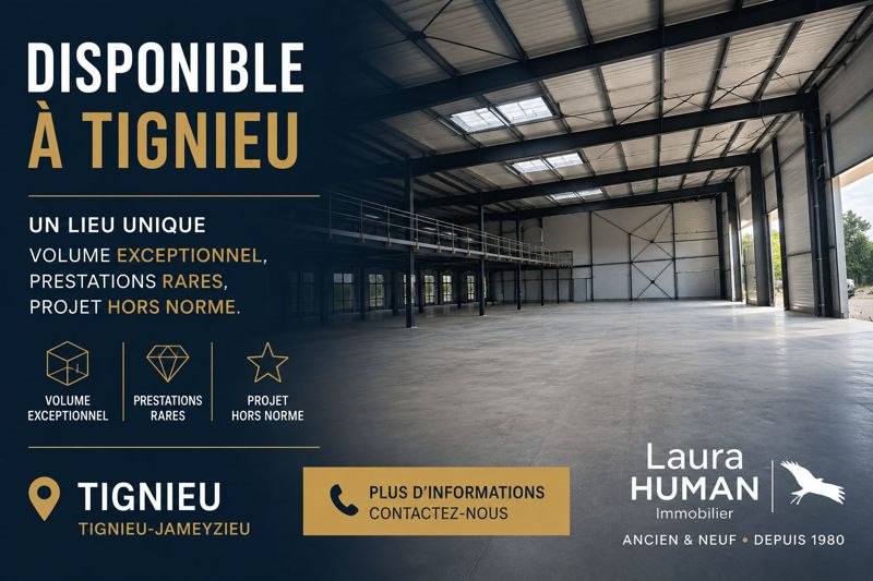 Vente Local commercial TIGNIEU JAMEYZIEU - - 1 900 m² - (38230)