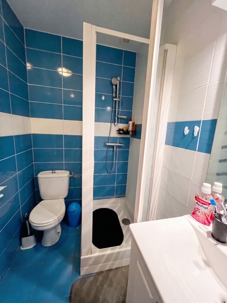 Vente Maison ST VICTOR DE CESSIEU - 7 pièces -205 m² - (38110)