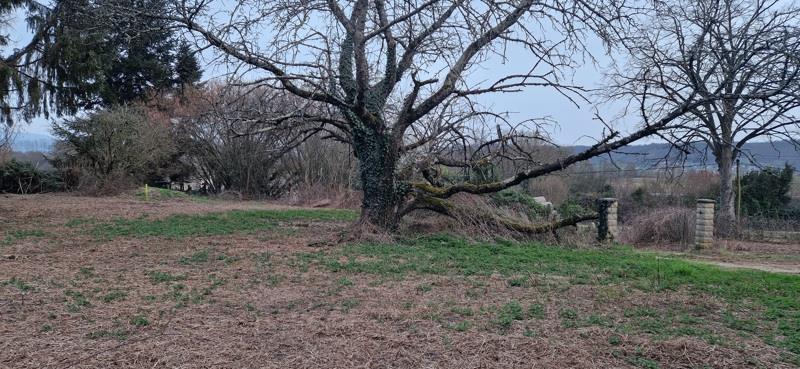 Vente Terrain VEZERONCE CURTIN - -563 m² - (38510)