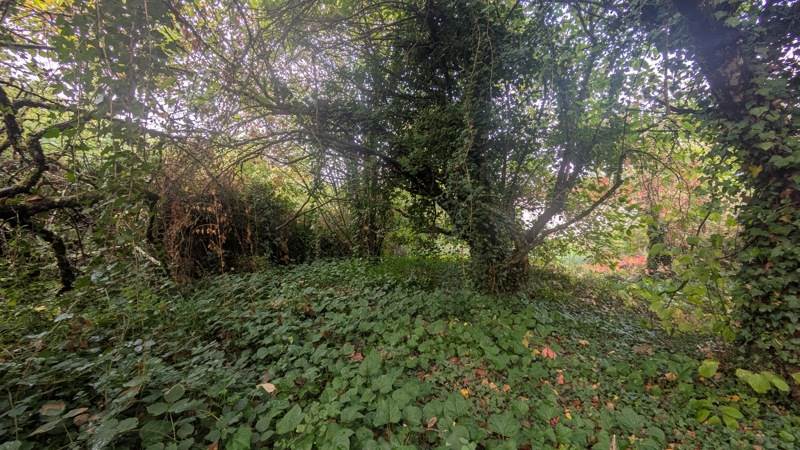 Terrain à vendre · à Pressins · 56 000 €