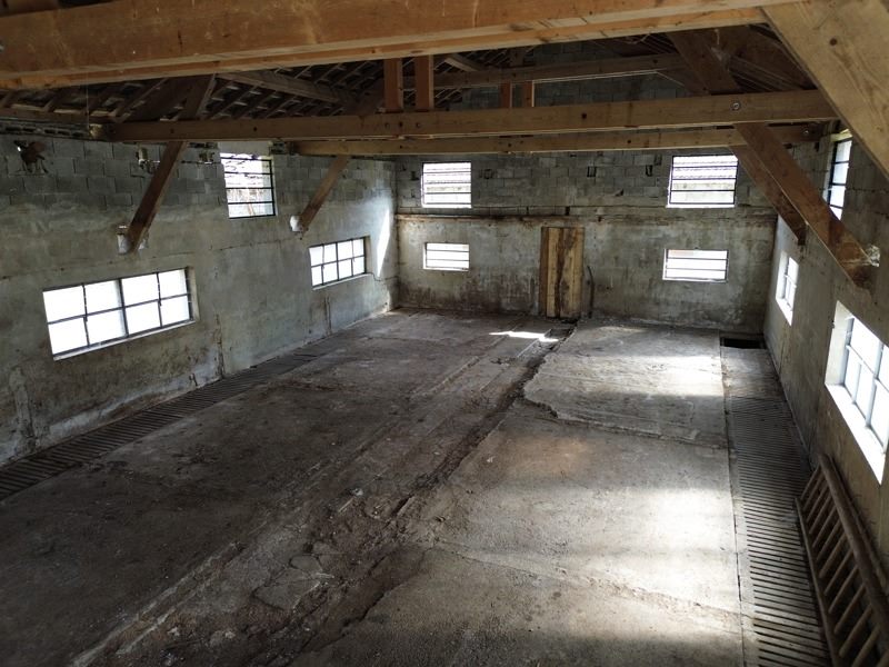 Vente Terrain ORDONNAZ - -1550 m² - (01510)