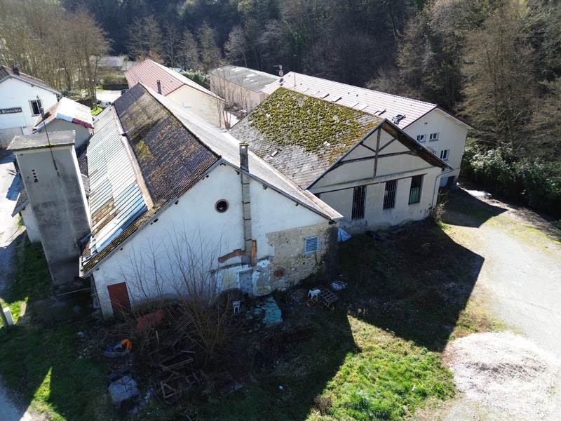 Vente Local commercial ST GENIX LES VILLAGES - -  770 m² - (73240)