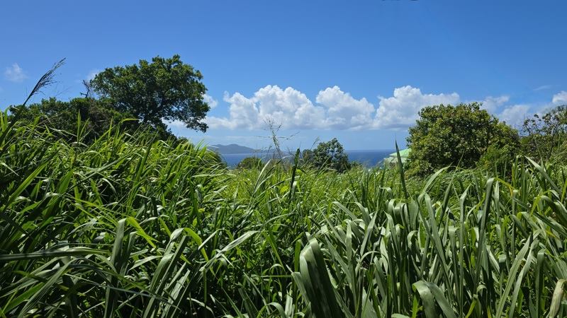 Vente Terrain TROIS RIVIERES - -780 m² - (97114)