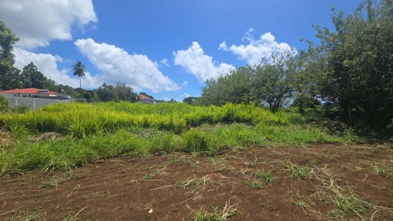 Vente Terrain TROIS RIVIERES - -780 m² - (97114)