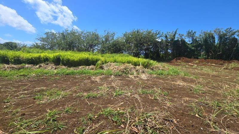 Vente Terrain TROIS RIVIERES - -780 m² - (97114)