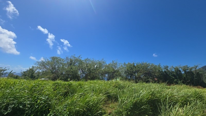 Vente Terrain TROIS RIVIERES - -780 m² - (97114)