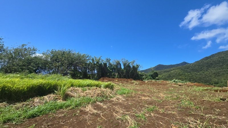 Vente Terrain TROIS RIVIERES - -780 m² - (97114)