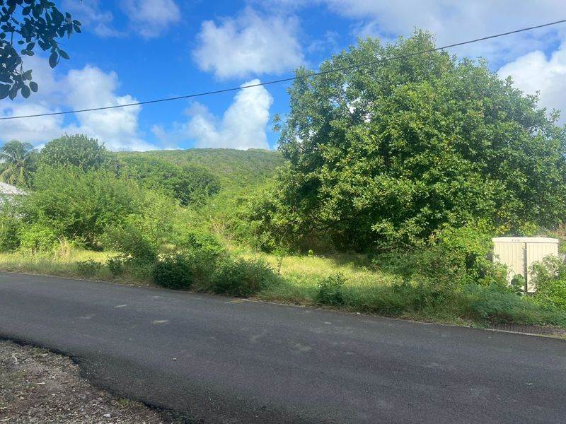 Vente Terrain CAPESTERRE DE MARIE GALANTE - -38108 m² - (97140)