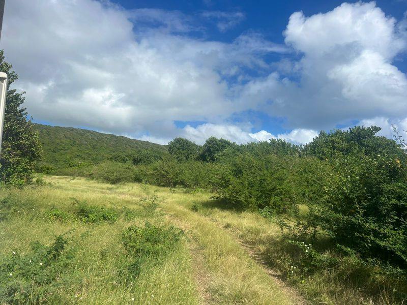 Vente Terrain CAPESTERRE DE MARIE GALANTE - -38108 m² - (97140)