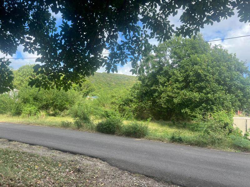Vente Terrain CAPESTERRE DE MARIE GALANTE - -38108 m² - (97140)