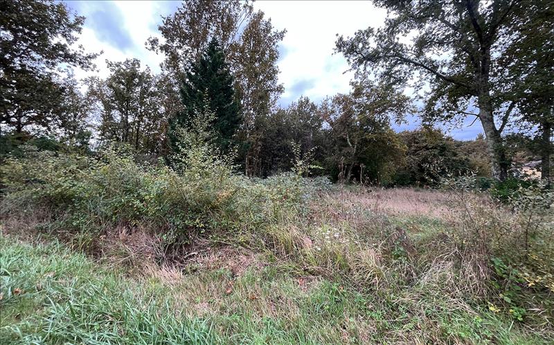 Vente Terrain LE TAILLAN MEDOC - -656 m² - (33320)