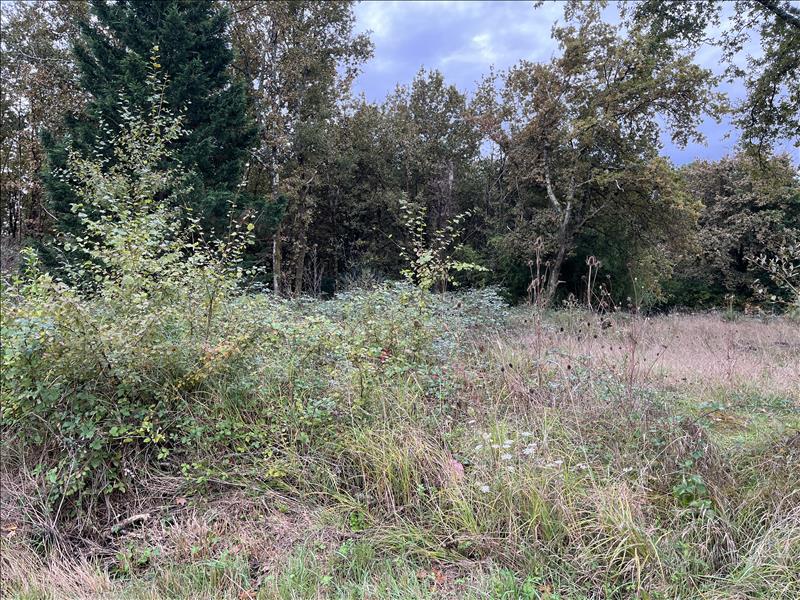 Vente Terrain LE TAILLAN MEDOC - -656 m² - (33320)