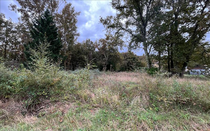 Vente Terrain LE TAILLAN MEDOC - -656 m² - (33320)