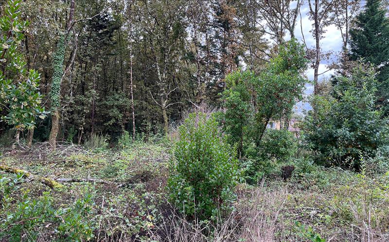 Vente Terrain LE TAILLAN MEDOC - -656 m² - (33320)