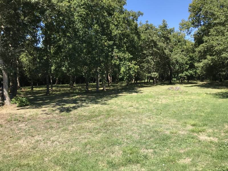 Vente Maison DOLUS D OLERON - 10 pièces -310 m² - (17550)