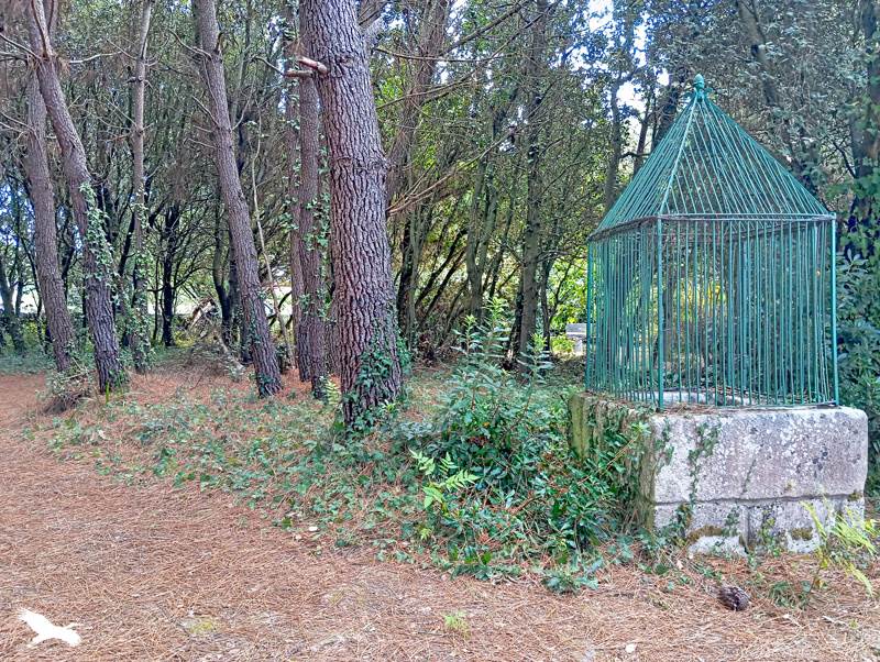 Vente Maison DOLUS D OLERON - 4 pièces -93 m² - (17550)