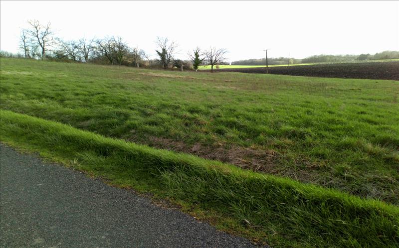 Terrain 4 pièces 2000 m²