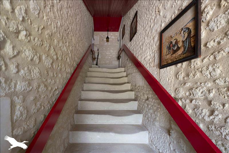 Vente Maison CLAM - 10 pièces -251 m² - (17500)