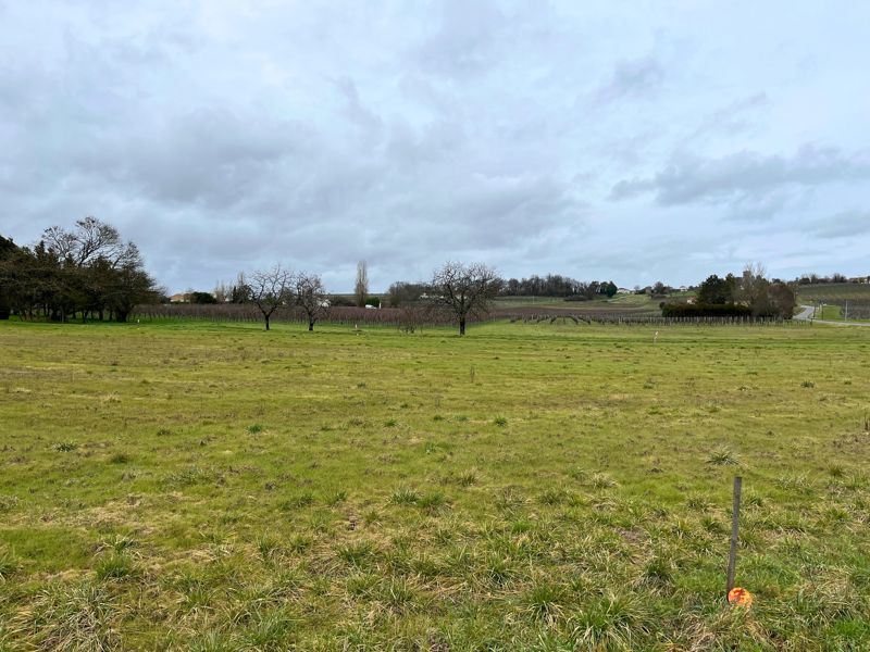 Vente Terrain STE LHEURINE 17520  