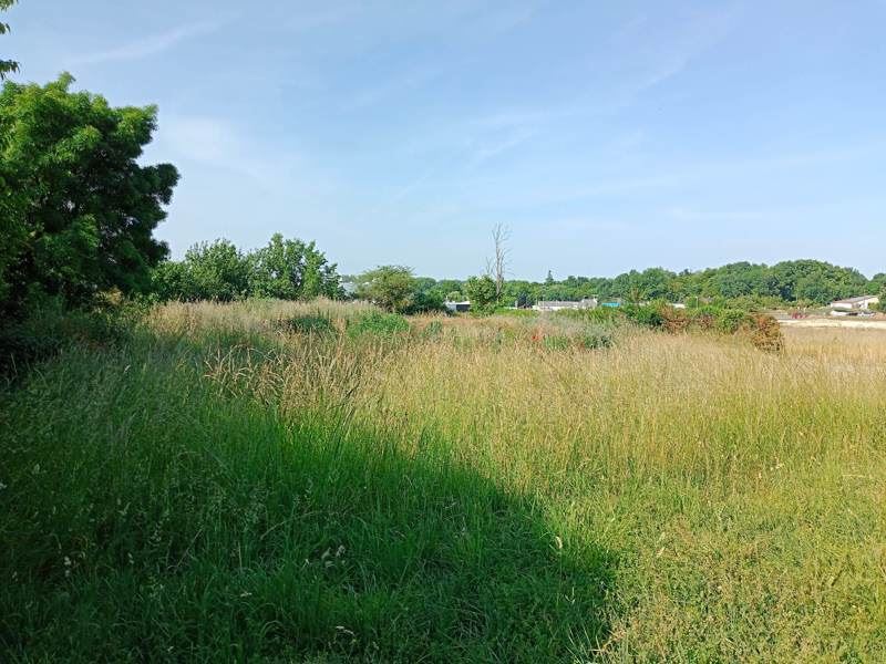 Vente Terrain JONZAC 17500  698 m²