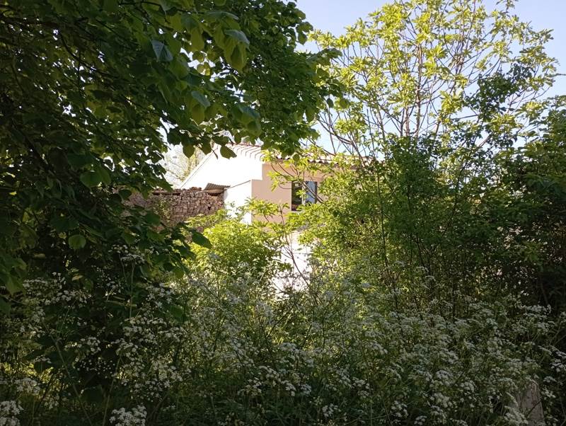 Vente Maison ST GEORGES ANTIGNAC - 5 pièces -135 m² - (17240)