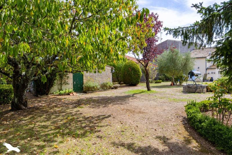 Vente Maison Jonzac - 9 pièces -270 m² - (17500)