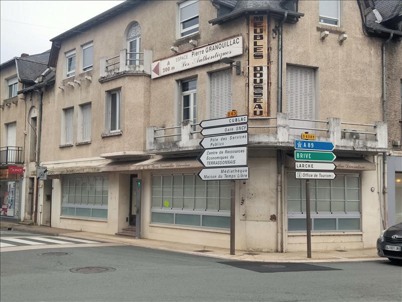 Vente Immeuble TERRASSON LAVILLEDIEU - -  372 m² - (24120)