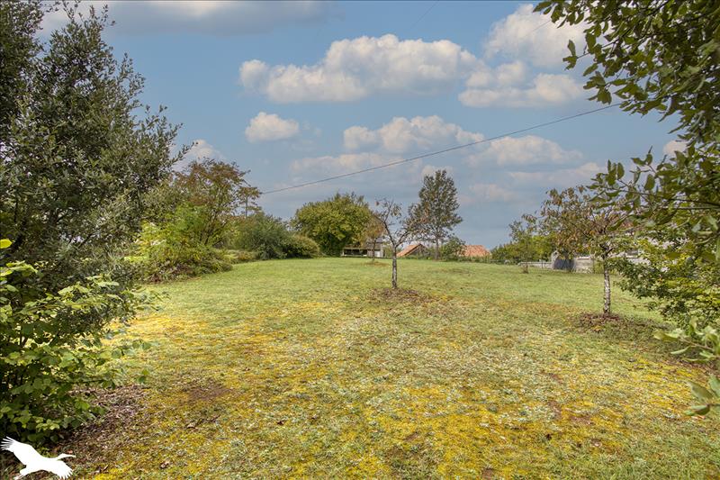 Vente Maison TERRASSON LAVILLEDIEU - 6 pièces -140 m² - (24120)