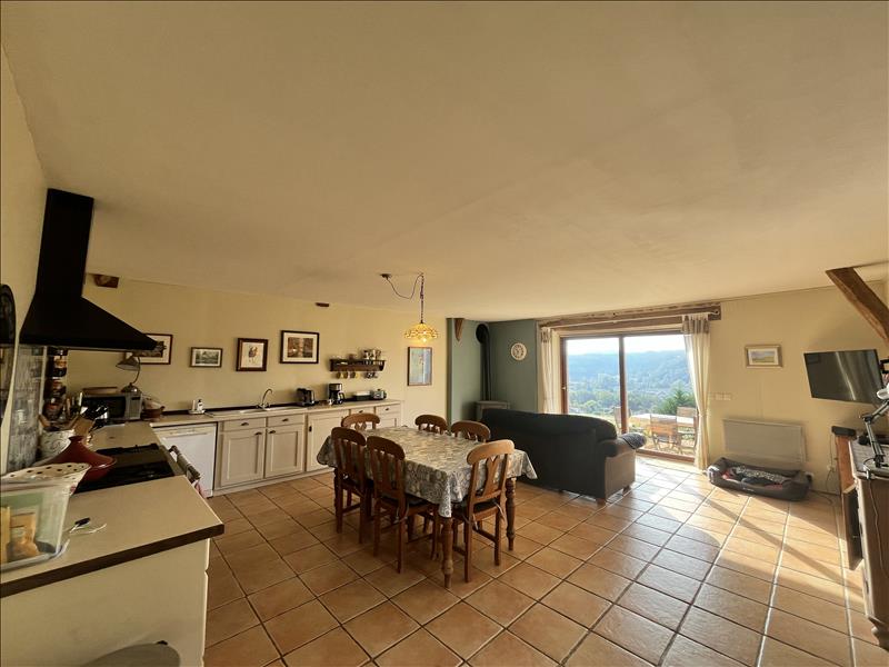 Vente Maison TERRASSON LAVILLEDIEU - 6 pièces -200 m² - (24120)