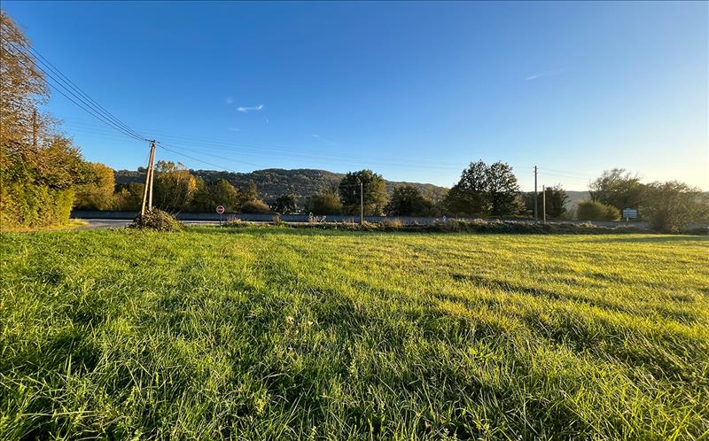 Vente Terrain TERRASSON LAVILLEDIEU - -7277 m² - (24120)