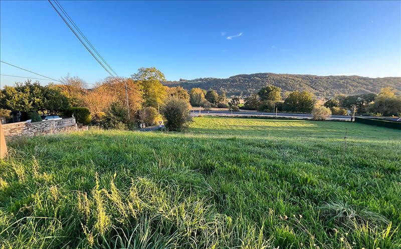 Vente Terrain TERRASSON LAVILLEDIEU - -7277 m² - (24120)