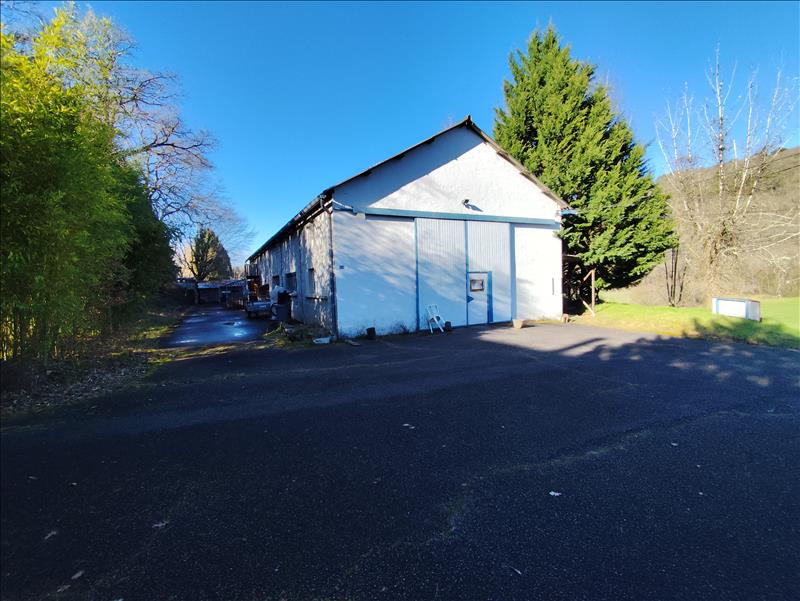 Vente Maison TERRASSON LAVILLEDIEU - 8 pièces -110 m² - (24120)